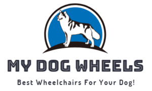 Screenshot 2021-12-31 141044